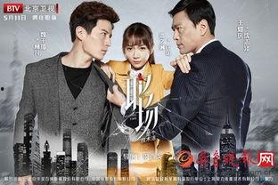 职场是个技术活电视剧,解码职场生存法则